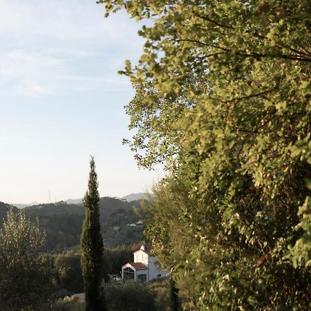 B&B La Fustaia Sarzana Luaran gambar